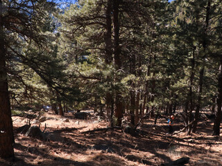 Mountain Hike In The Flatirons 