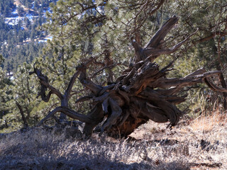 Mountain Hike In The Flatirons 