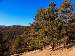 Mountain Hike In The Flatirons 