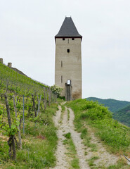 Fototapeta na wymiar Postenturm near Bacharach
