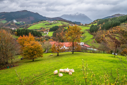 autumn scene of aramaio valley, basque country