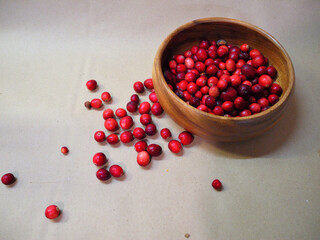 Wooden vase with wild cranberries. Autumn gifts of the forest.