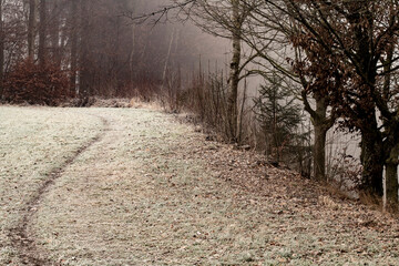 Landschaft im Winter - Frost und Nebel