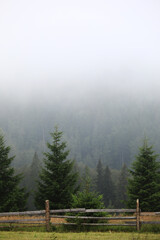 autumn meadow with a old wooden fence on a farm close up, in the Smoky Mountains on a foggy day....