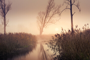 Fototapeta na wymiar Misty river Ełk in autumn.
