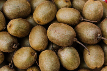 Top down view of a group of ripe kiwi kiwifruit, Actinidia deliciosa