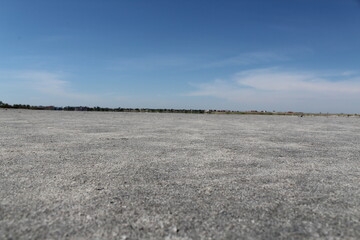 field of wheat and sky