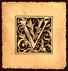 Black initial letter V with Baroque decorations in vintage style on an old paper background. Beautiful ornate capital letter V suitable for greeting card, monogram, invitation, logo, emblem