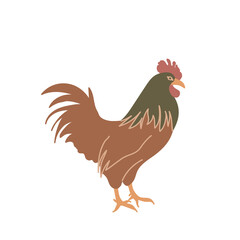 Rooster in colored flat style. For logo, icons, emblems, template, badges. Vector illustration