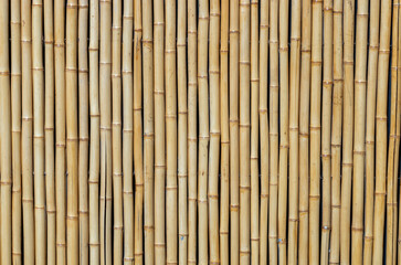 Champagne toned bamboo background.
