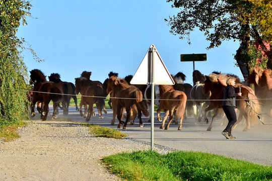 Perde Bilder Durchsuchen 1,721 Archivfotos, und Videos