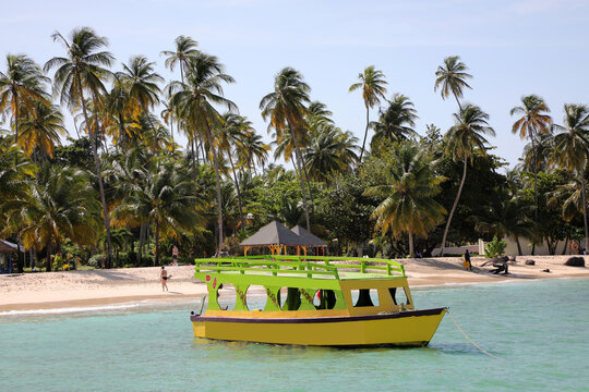 Traumhafter karibischer Strand (Tobago)