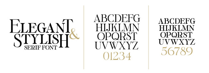 Fototapeta vector illustration. Stylish elegant vector composite font. set of letters english obraz