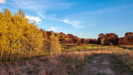 Fototapeta premium Minnesota Fall Colors from the Lebanon Hills Regional Park in Eagan, Minnesota.