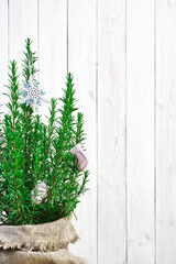Christmas tree, concept of decorated rosemary bush on a wooden table. Close-up with space for text. Studio photo
