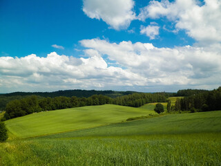 Hills and meadows of Kashubia Region, Poland.