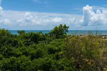 Praia, Santa Cruz, Aracruz, Esp&iacute;rito Santo, Brasil, Brazil 