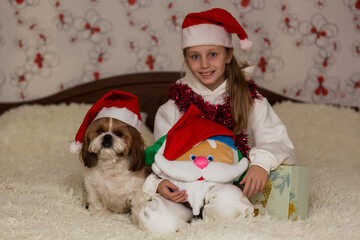 Christmas or New Year online congratulations. Smiling girl in santa hat with dog in santa hat.