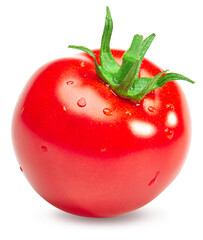 single fresh tomato isolated on white background. clipping path.