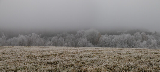Obraz na płótnie Canvas autumn landscape, frozen field and forest in the fog, covered with hoarfrost