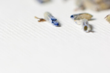 Dry lavander flower on paper background