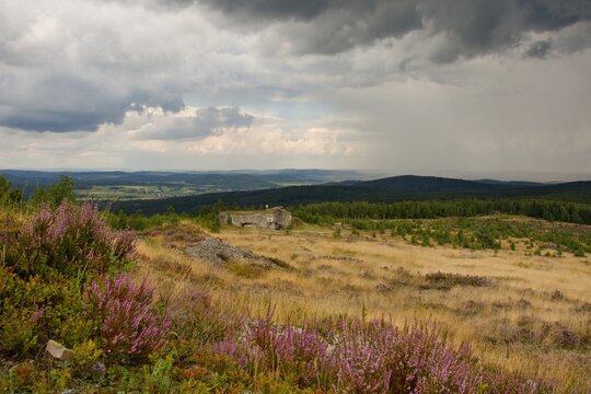 Impact area Jord&aacute;n around the hill Houp&aacute;k in the protected landscape area Brdy with flowering heather on a large heathland with a military bunker and with distant views, former military area