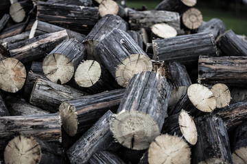 Pile of gray logs