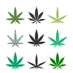 Obraz premium Cannabis leaf set icon. Marijuana plant collection. Vector medicine concept. Medical illustration isolated on white.