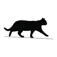 black silhouette cat walking
