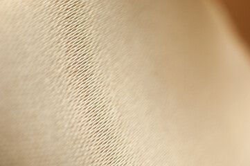 Fabric silk texture