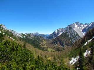 Fototapeta na wymiar alpine valley at Zelenica in Karawanks, gorenjska, Slovenia covered in coniferous forest