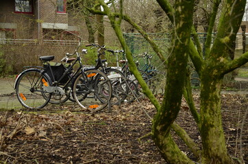 Fototapeta premium Bicycles in the forest