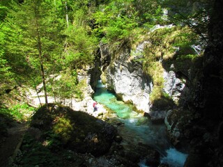 Turquoise Kamniska Bistrica river flowing out of Predaselj gorge in Slovenia