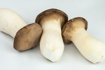 a group of raw king oyster mushrooms