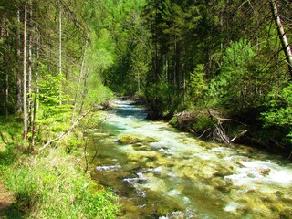 beautiful Kamniska Bistrica river in Slovenia