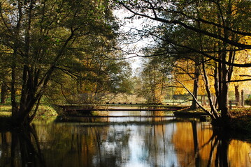 Fototapeta na wymiar Autumn on the river