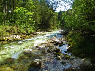 beautiful Kamniska Bistrica river in Slovenia