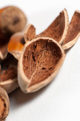 Hazelnuts and cracked nutshells