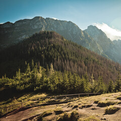 Widok na Giewont z Sarniej Skałki, Tatry, Polska © Przemysław Głowik