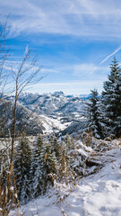 Vertical view of the Alps in Allgäu on a sunny day in winter, Oberallgäu, Germany