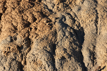 mixed sand texture and dirt texture