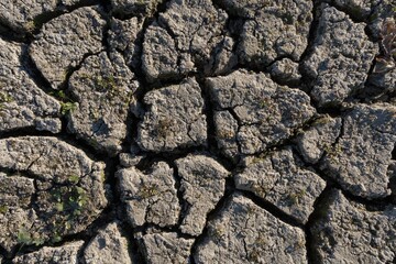 Cracked soil from drought, sun and wind with vegetation clinging to life (Close-up)