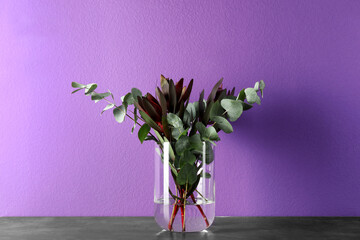 Beautiful bouquet of protea flowers and eucalyptus branches in glass vase on table against purple background