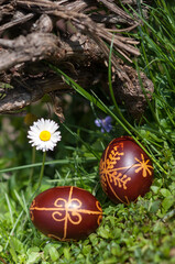 Dyed traditional easter eggs in the fresh spring grass