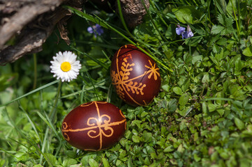 Dyed traditional easter eggs in the fresh spring grass
