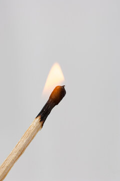 Burning match isolated on grey background
