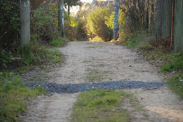 Autumn road in the countryside
Autumn day, the country road goes into the distance, Along the edges...