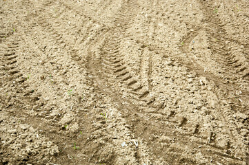 Texture of a plowed field with tractor tracks