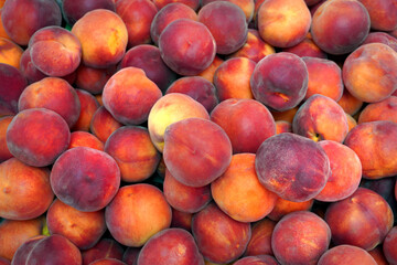 harvest of fresh ripe peaches
