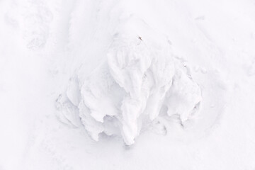 Fototapeta na wymiar Abstract forms of snow and ice created by strong winds. White minimalist scene.